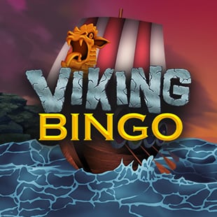 Vikings bingo bag